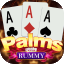 rummy animal 51 bonus icon
